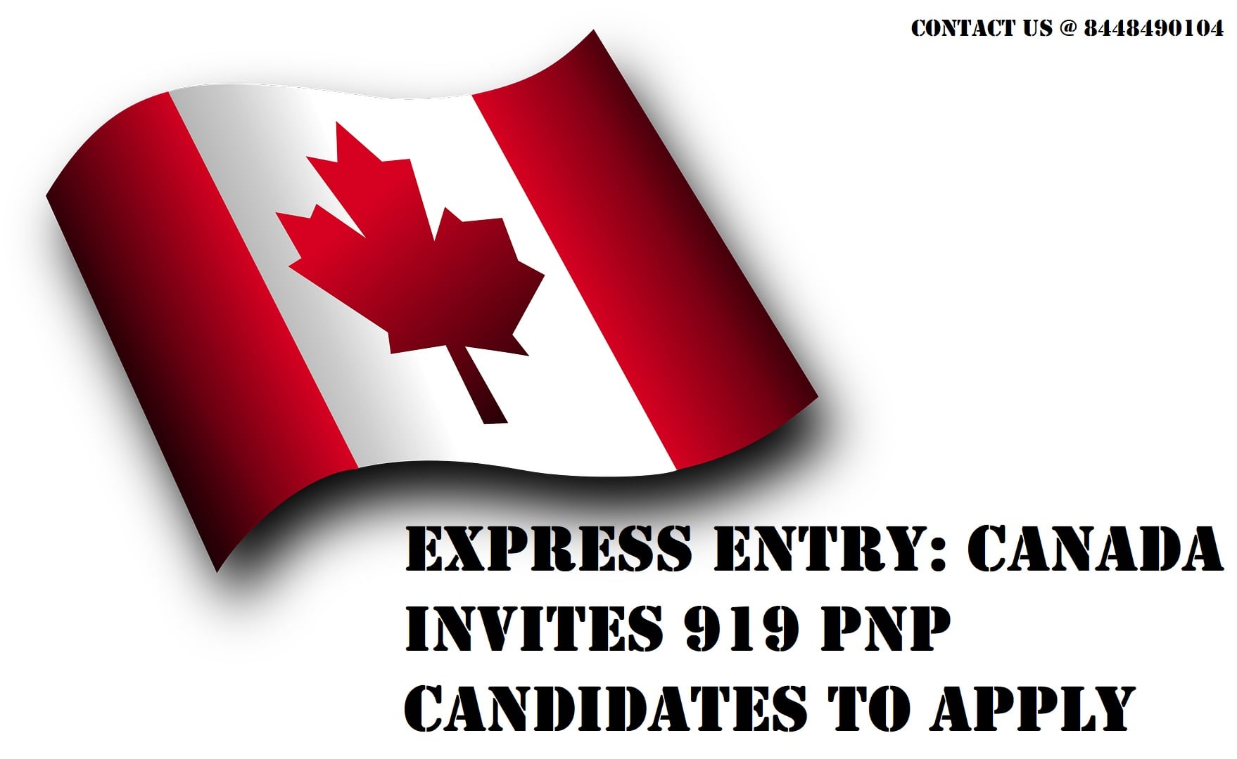 Canada invited 919 Express Entry