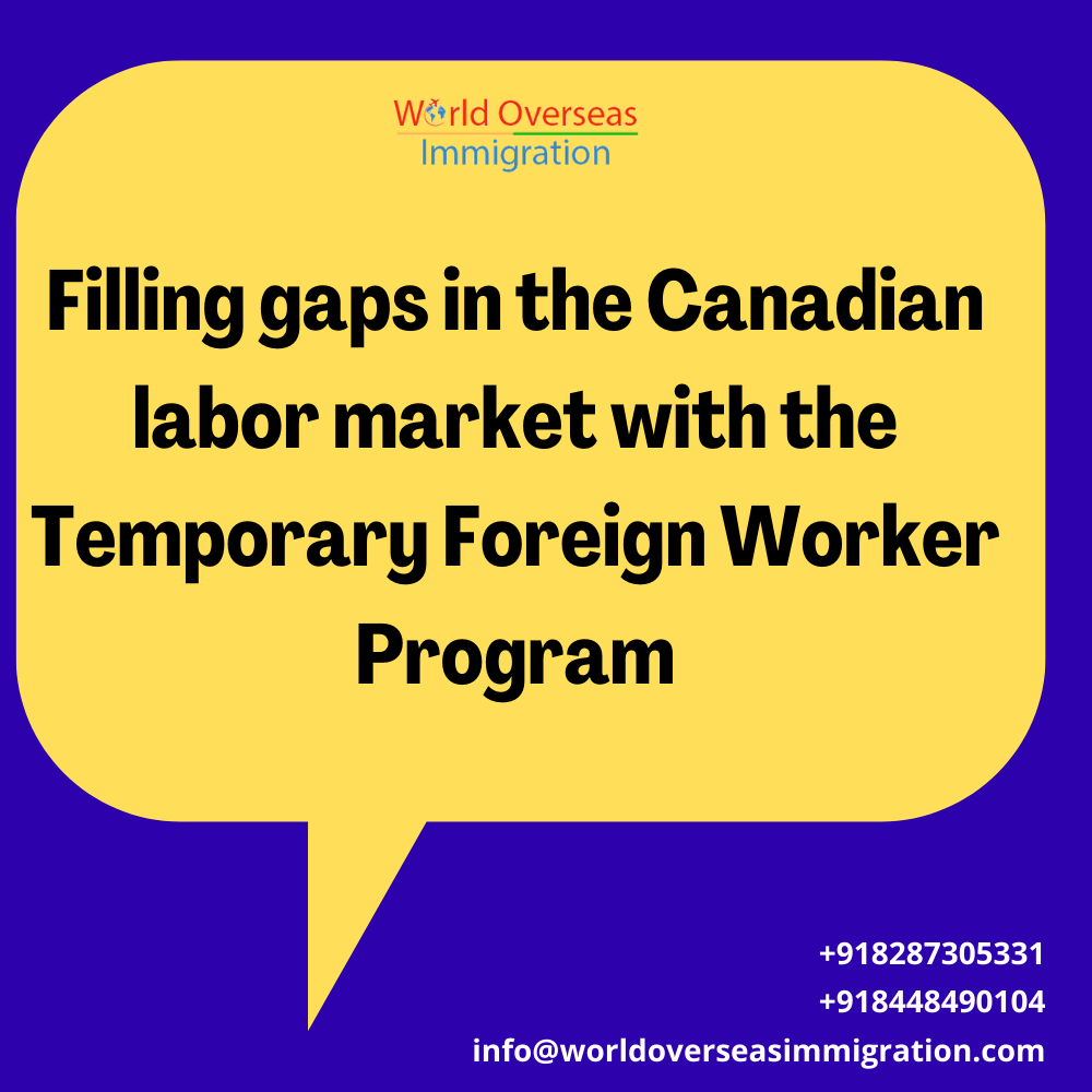 Filling gaps within the Canadian Labour Market with the Temporary Foreign Worker Program